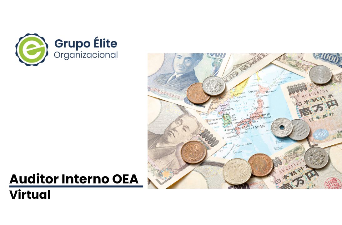 Curso Auditor Interno OEA virtual